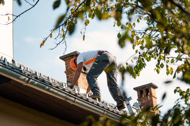 Best Best Roofing Contractors  in Hustisford, WI