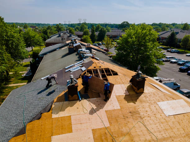 Best Roof Repair Services  in Hustisford, WI