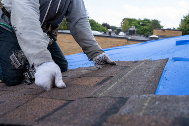 Professional Roofing Contractor in Hustisford, WI