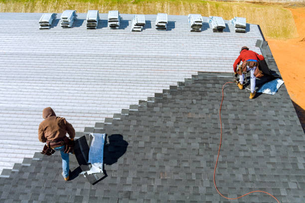 Best Local Roofing Companies  in Hustisford, WI