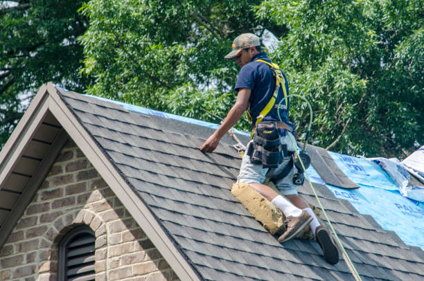 Best Shingle Roofing Installation  in Hustisford, WI